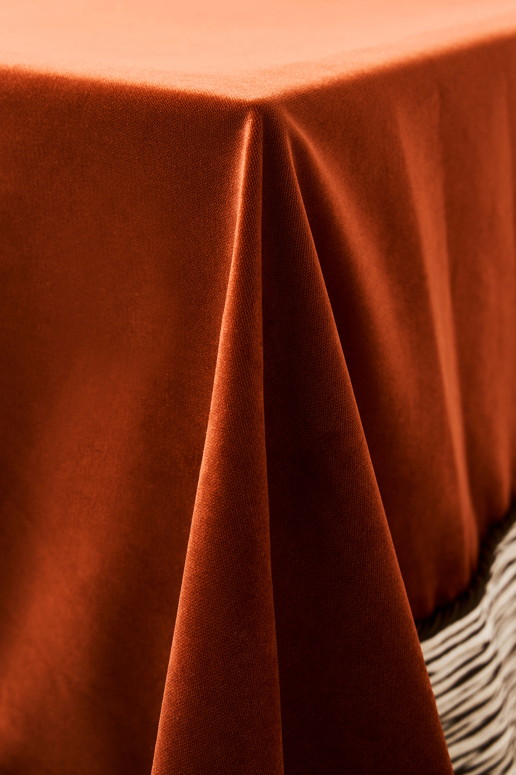 Coraline Zebra Velvet Tablecloth