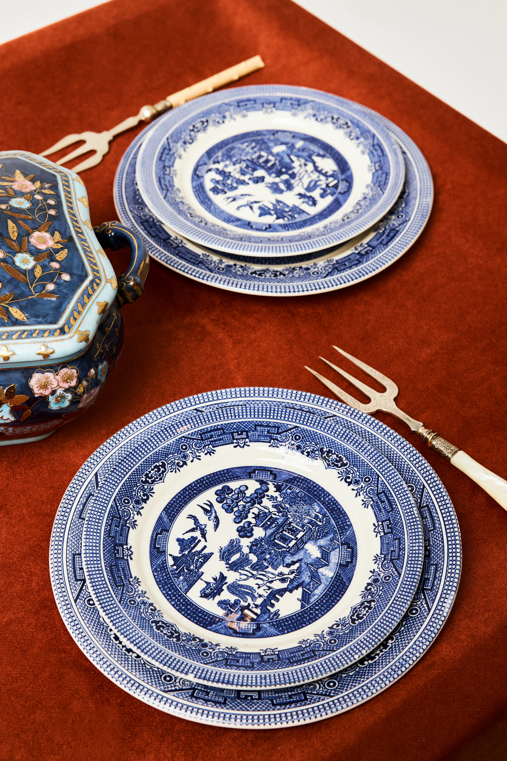 Coraline Zebra Velvet Tablecloth